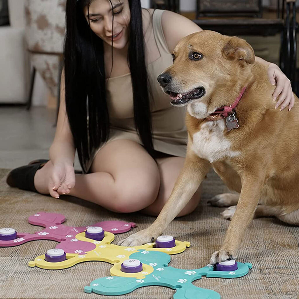 طراحی-تجهیزات-و-وسیله-های-پت-شاپ-و-نگهداری-حیوانات-خانگی