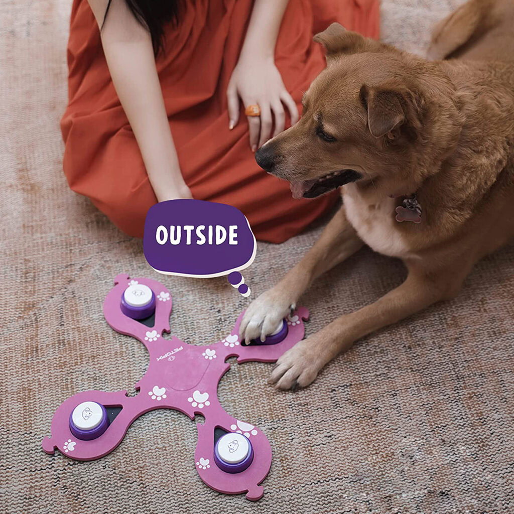 طراحی-دکمه-صحبت-با-حیوانات