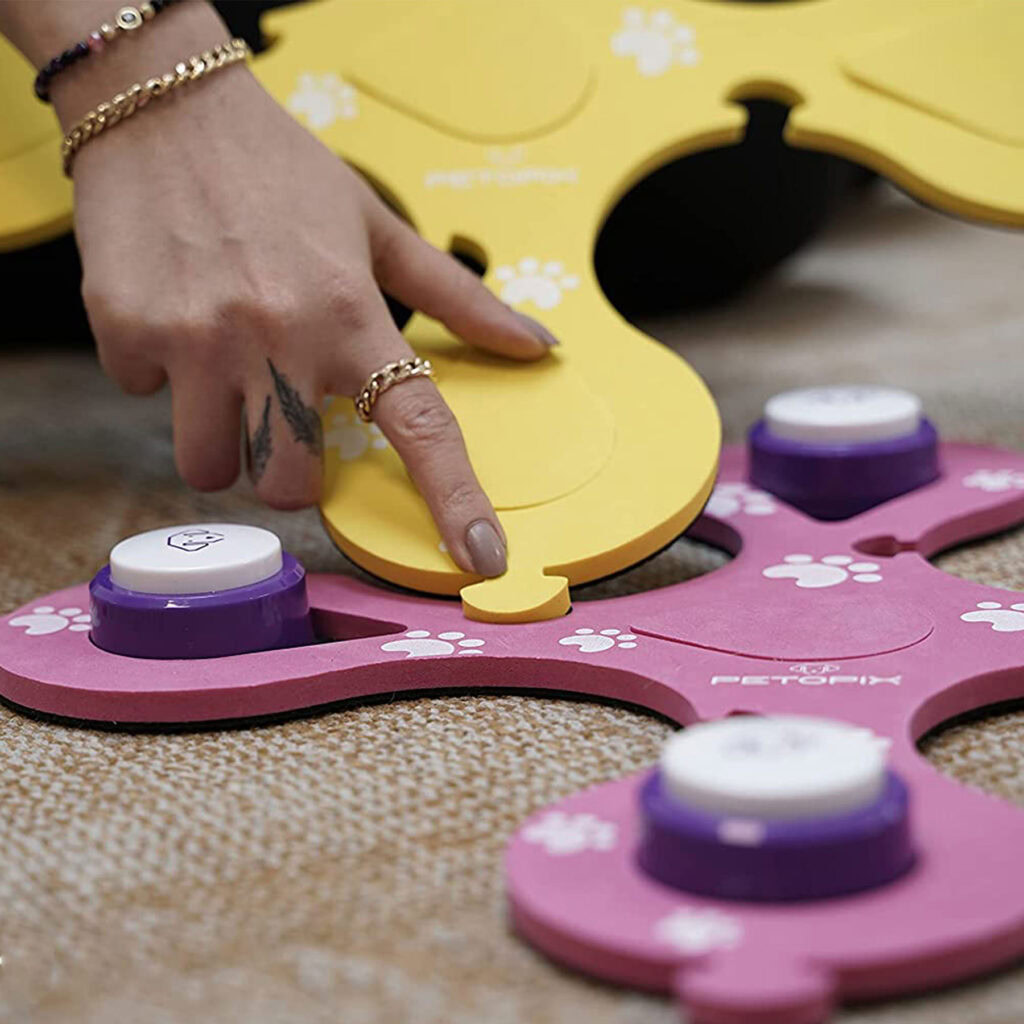 طراحی-ملزومات-پت-و-حیوانات