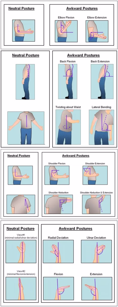 Ergonomic postures What is Ergonomics? The Importance of Ergonomics in Design type of ergonomics